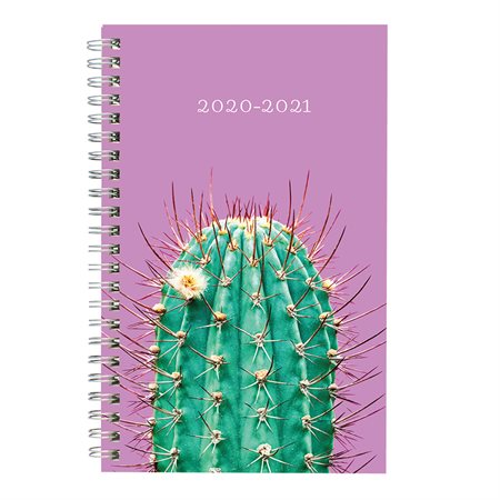 Agenda hebdomadaire  /  mensuel Arizona (2020-2021)