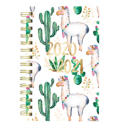 Agenda quotidien  /  mensuel cactus (2020-2021)