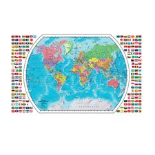 Plastic-coated world map