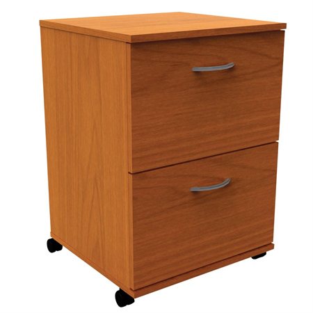 2-Drawer Mobile File