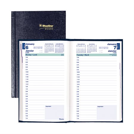 Daily Diary (2020)