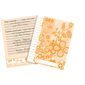 Cahier d'exercices GeoEco