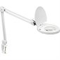 Fluorescent Magnifying Lamp