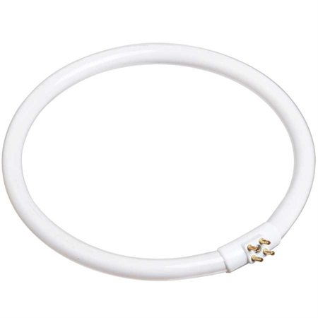 Tube circulaire fluorescent (22 W)