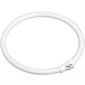 Tube circulaire fluorescent (22 W)