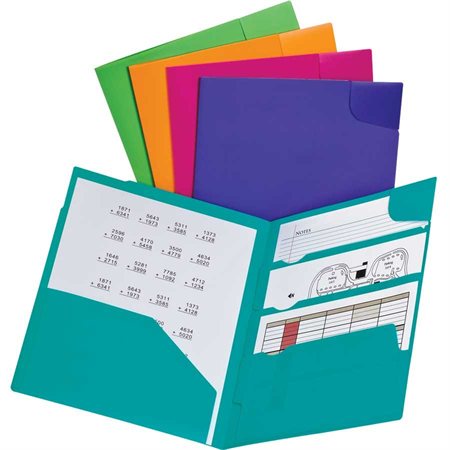 Divide-It-Up® Report Cover