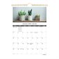 Succulent Plants Wall Calendar (2021)