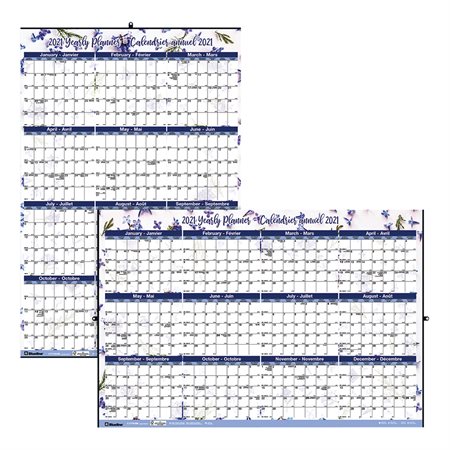 Annual Wall Calendar (2021)