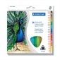 Triangular Wooden Coloured Pencils