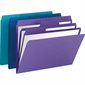 SuperTab® Organizer File Folder