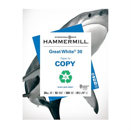 Great White® 30 Recycled Copy Paper