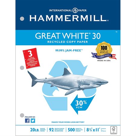 Great White® 30 Recycled Copy Paper