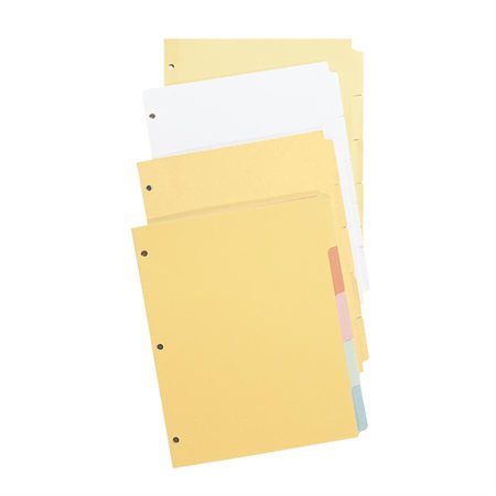Intercalaires à onglets vierges