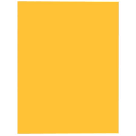 Papier de couleur EarthChoice® Hots®