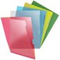 Heavy-Duty Transparent Folder