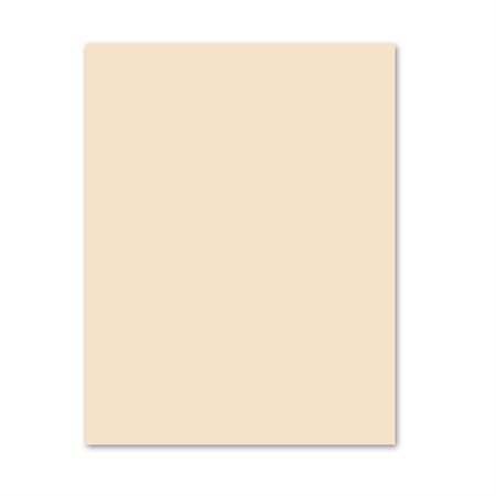 Papier couverture à usage multiples EarthChoice® Bristol