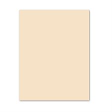 Papier couverture à usage multiples EarthChoice® Bristol