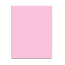 Papier couverture à usage multiples EarthChoice® Bristol