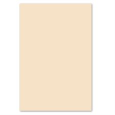 Papier couverture à usage multiples EarthChoice® Bristol