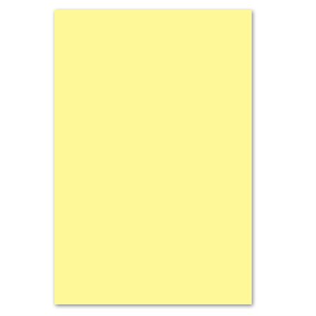 Papier couverture à usage multiples EarthChoice® Bristol