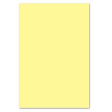 Papier couverture à usage multiples EarthChoice® Bristol