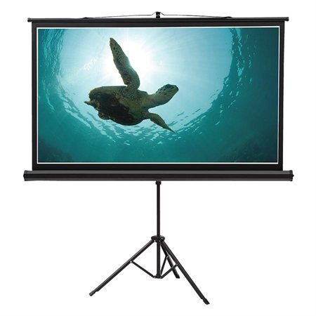 Écran de projection grand format mural