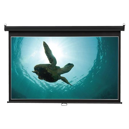 Écran de projection grand format mural