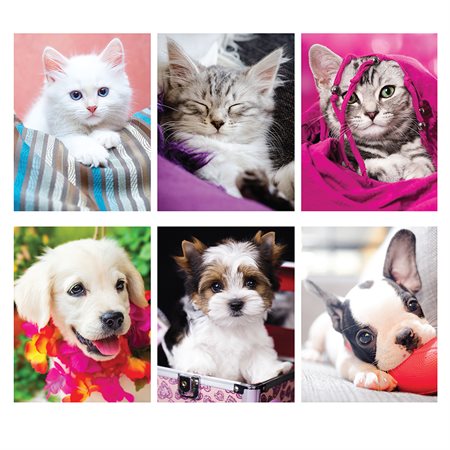 Animal Report Covers