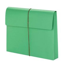Coloured Expanding Wallet