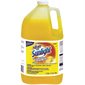 Sunlight® Dishwashing Liquid