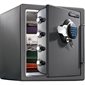 Sentry® Extra Large Digital Fire Safe