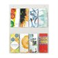 Clear2c™ Pamphlet Display
