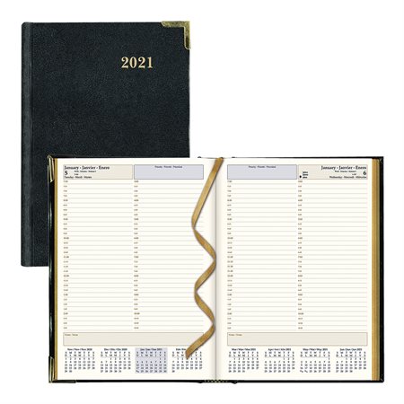 Daily Planner (2020)