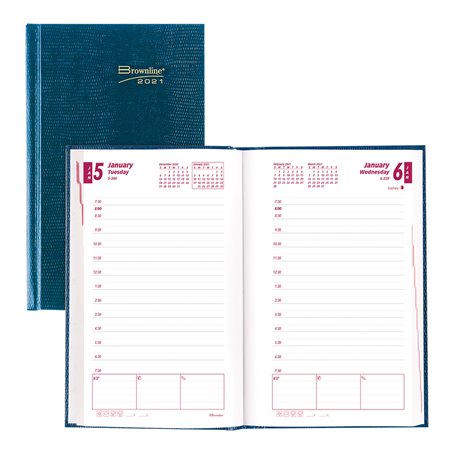 Daily Diary (2020)