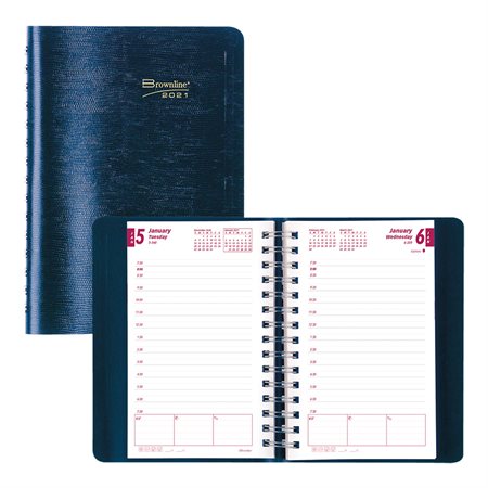 Daily Diary (2020)