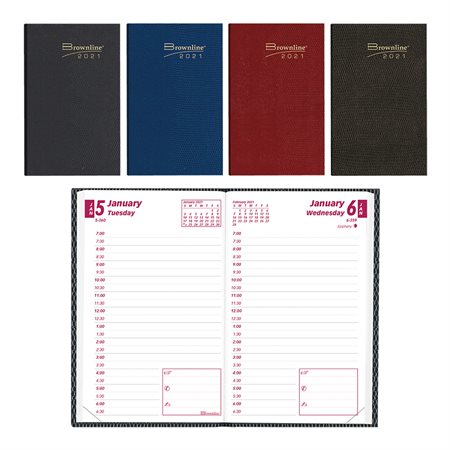 Daily Planner (2020)