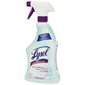 Lysol Kitchen Cleaner