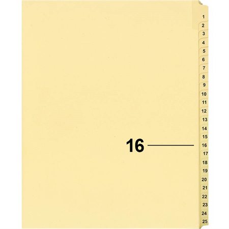 Offix® Individual Numerical Litigation Index Dividers