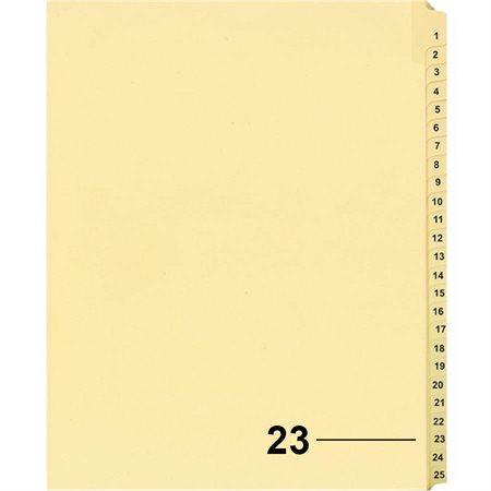 Index juridique individuel numérique Offix®