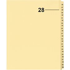 Index juridique individuel numérique Offix®