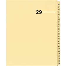 Index juridique individuel numérique Offix®