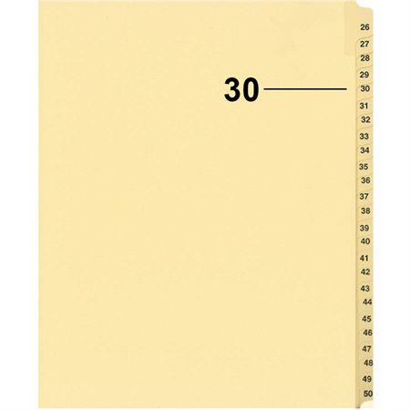 Offix® Individual Numerical Litigation Index Dividers