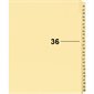 Index juridique individuel numérique Offix®