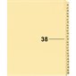 Index juridique individuel numérique Offix®