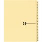 Index juridique individuel numérique Offix®