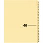 Index juridique individuel numérique Offix®