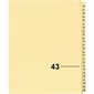 Index juridique individuel numérique Offix®