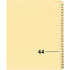 Index juridique individuel numérique Offix®
