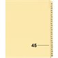 Index juridique individuel numérique Offix®