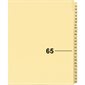 Index juridique individuel numérique Offix®